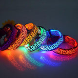 Buy 1 Get 1! - Safety Glowing Dog Collars and Leashes By Pet Lovers Club