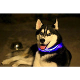Safety Glowing Pet Collar With LED By Project Pet Lovers Club