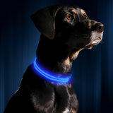 Buy 1 Get 1! - Safety Glowing Dog Collars and Leashes By Pet Lovers Club